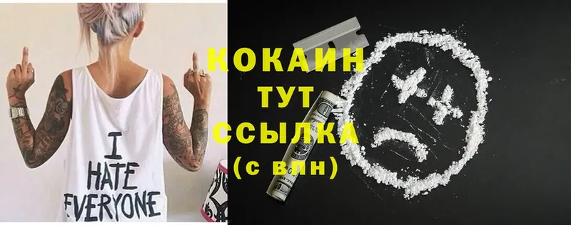 где купить наркоту  Богучар  Cocaine Columbia 