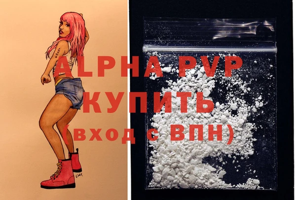 ECSTASY Белокуриха