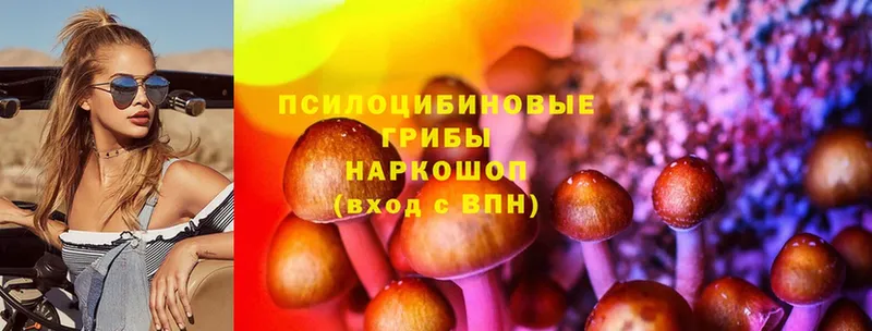 Галлюциногенные грибы Psilocybine cubensis  ОМГ ОМГ ссылки  Богучар 